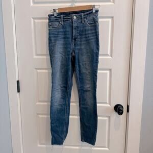 Lucky Brand Bridgette Skinny Denim Jeans